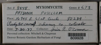 Image Associated With the Occurence